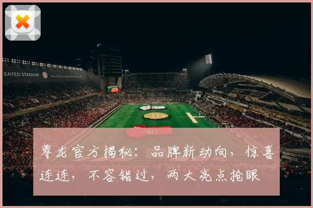 尊龙官方揭秘：品牌新动向，惊喜连连，不容错过，两大亮点抢眼