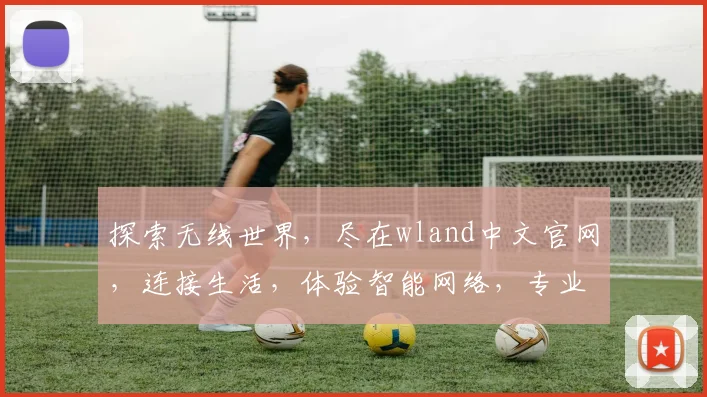 探索无线世界，尽在wland中文官网，连接生活，体验智能网络，专业服务，轻松购物。