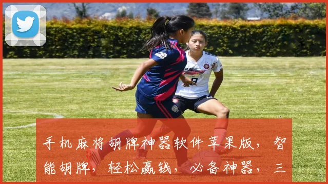 手机麻将胡牌神器软件苹果版，智能胡牌，轻松赢钱，必备神器，三重优惠